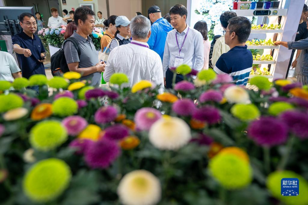 真实的棋牌网站